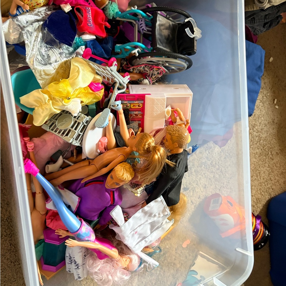 Barbie and Ken Dolls & Accessories Tote